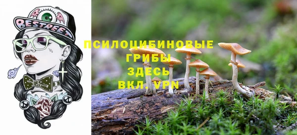 MDMA Кукмор