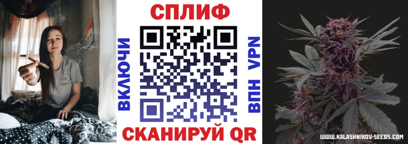 блэк спрут ссылка Ленск Марихуана ГИДРОПОН